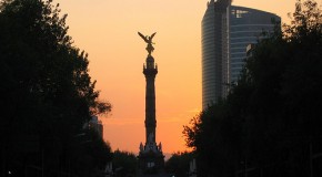 7 Principios de un Político