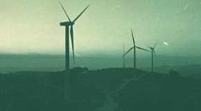 Mi negocio mi planeta