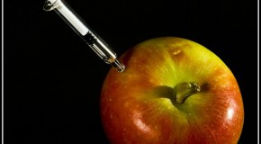 Engaño, Economía y Riesgos para la Salud de los  Suplementos Dietéticos